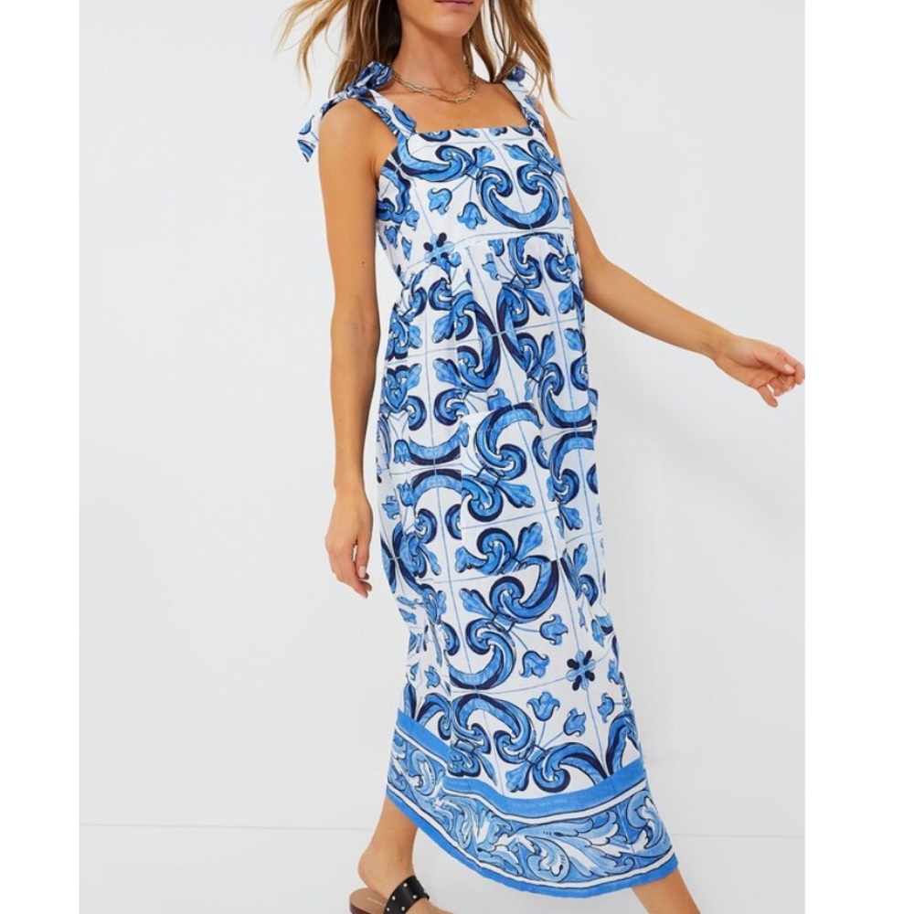 Tuckernuck Blue and White Maxi Dress